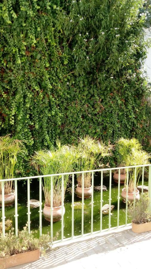 Gravina Comfort Tarifa Dış mekan fotoğraf