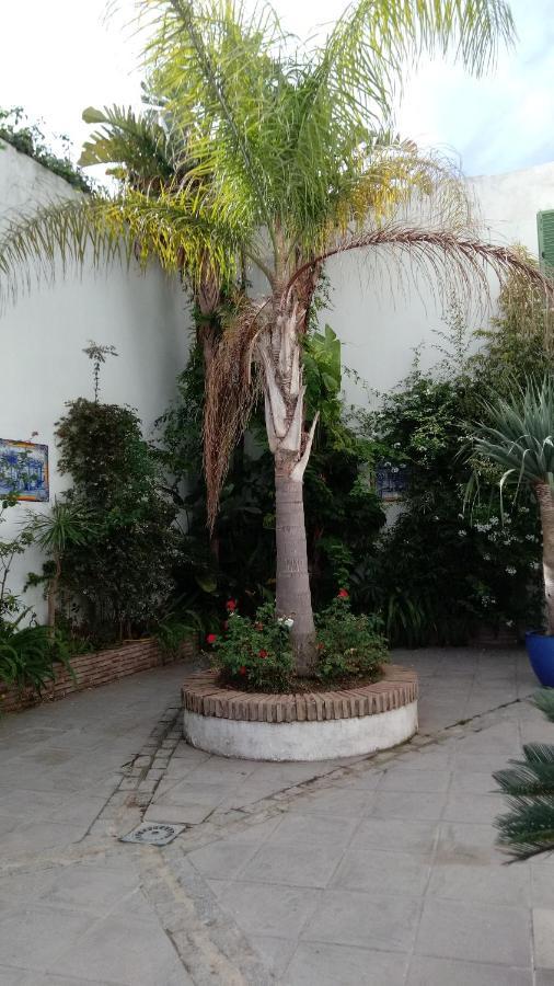 Gravina Comfort Tarifa Dış mekan fotoğraf